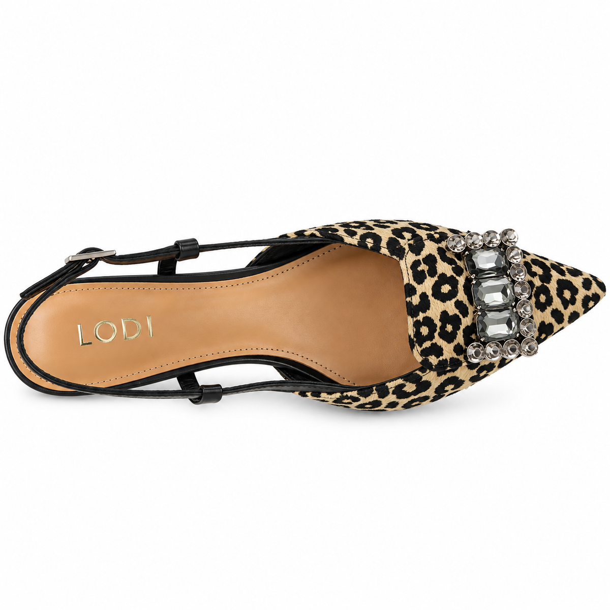 Zapato LODI Print