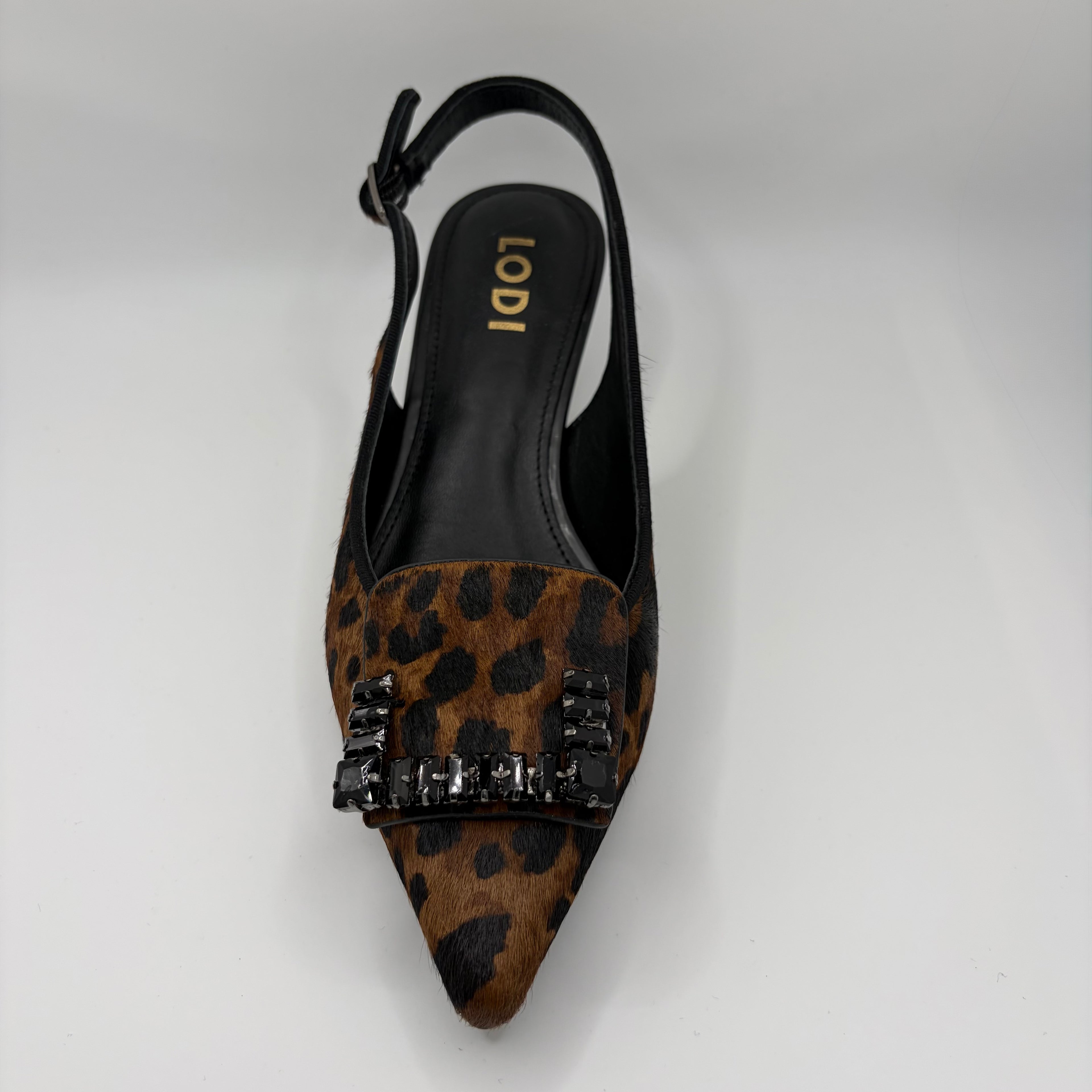 Zapato A-Rinola LODI