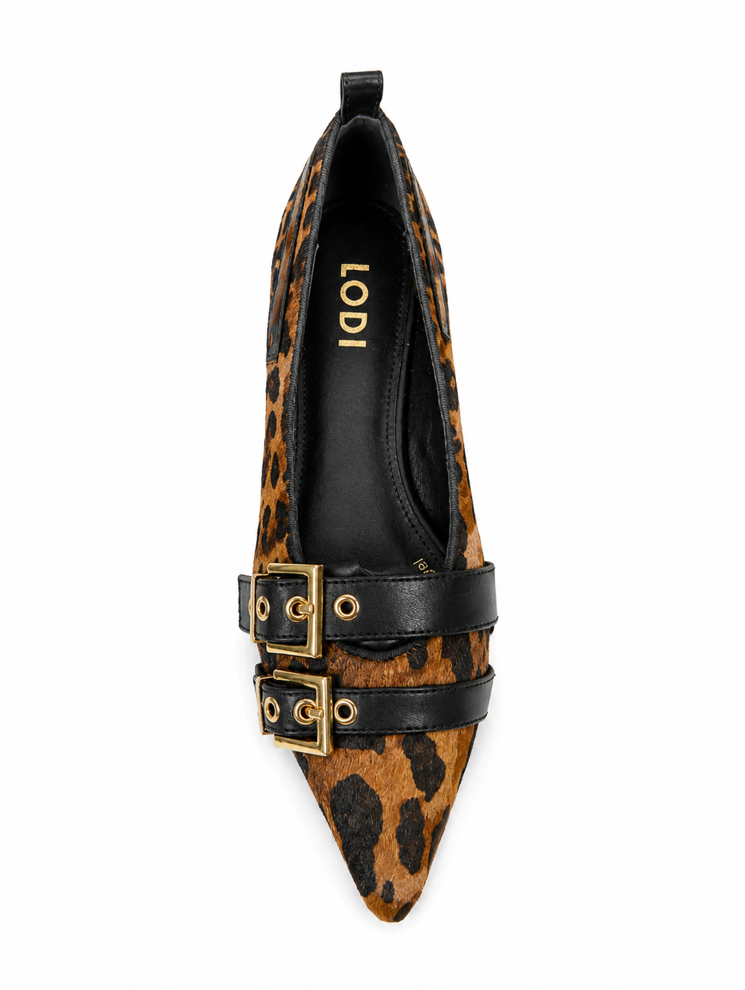 Rómulo Leopardo
